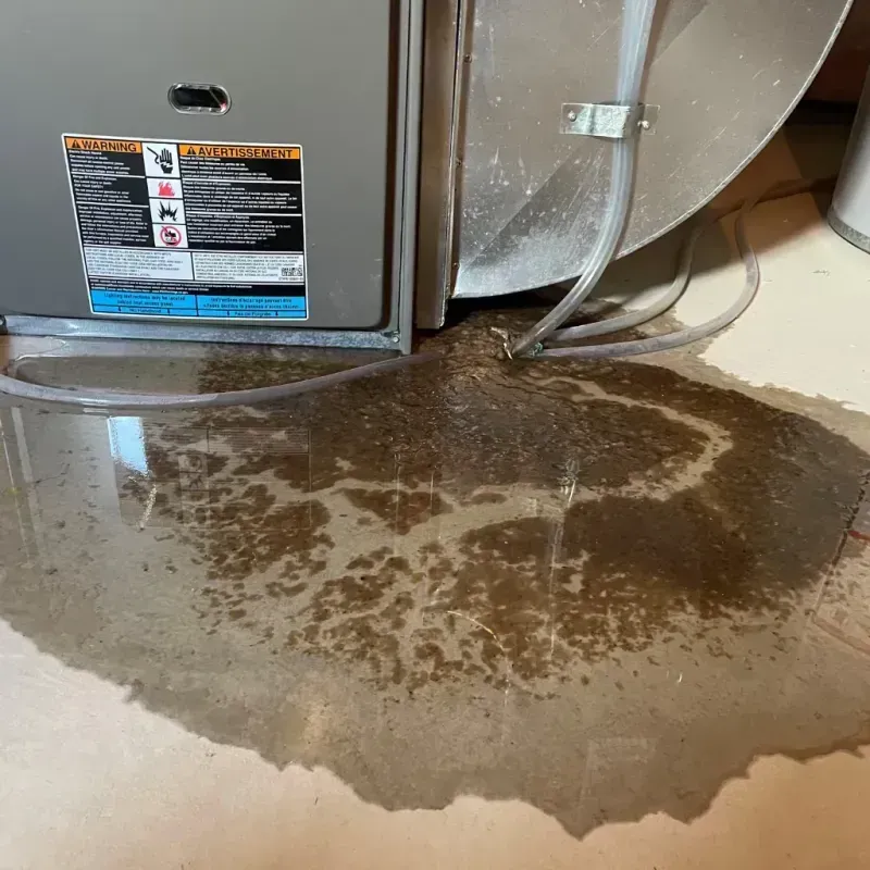 Appliance Leak Cleanup in Camden, NJ